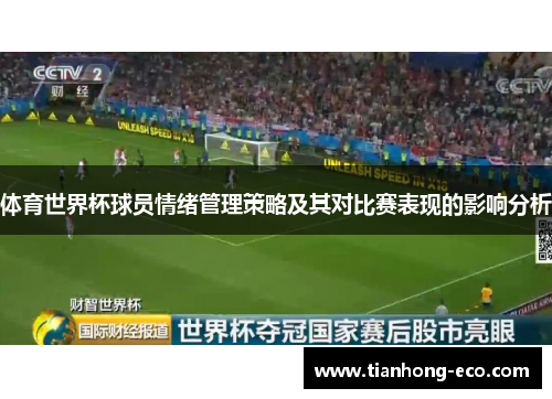 体育世界杯球员情绪管理策略及其对比赛表现的影响分析