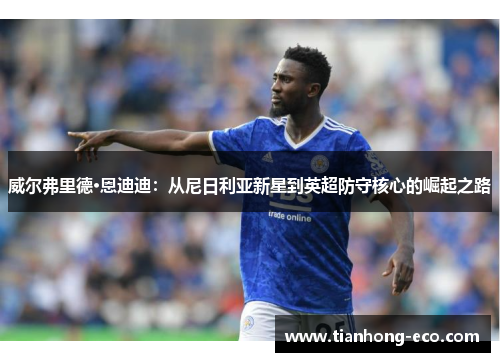 威尔弗里德·恩迪迪：从尼日利亚新星到英超防守核心的崛起之路