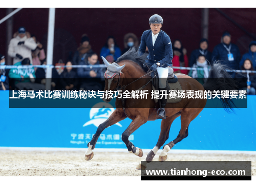 上海马术比赛训练秘诀与技巧全解析 提升赛场表现的关键要素