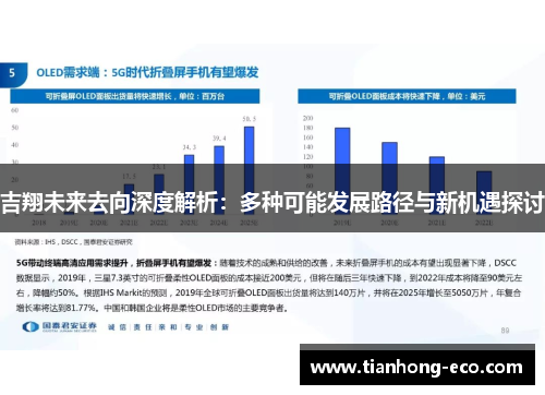 吉翔未来去向深度解析：多种可能发展路径与新机遇探讨