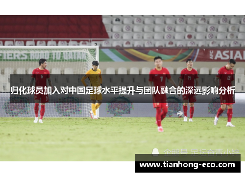 归化球员加入对中国足球水平提升与团队融合的深远影响分析