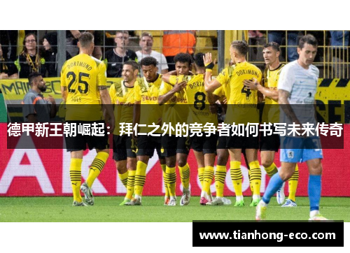 德甲新王朝崛起:拜仁之外的竞争者如何书写未来传奇 德甲新王朝崛起:拜仁之外的竞争者如何书写未来传奇